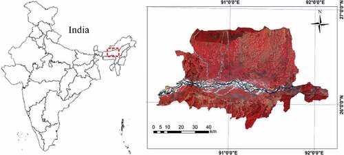 Figure 1. Study site (background is the HJ-1A satellite image showing in false colour composite)