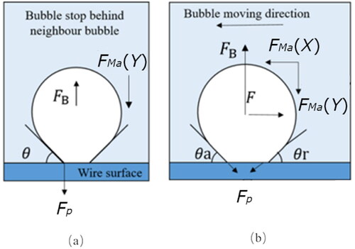 Figure 16. Forces acting on a bubble during different bubble oscillating stages (a) Bubble stopping next to a stationary bubble; (b) Bubble oscillating on the wire. Symbols represent: θ contact angle stationary bubble, θa and θr advancing and receding contact angles for moving bubble, Fp pinning force, FB buoyancy force, FD drag force and FMa (X) and FMa (Y) thermocapillary Marangoni forces in the X and Y directions.