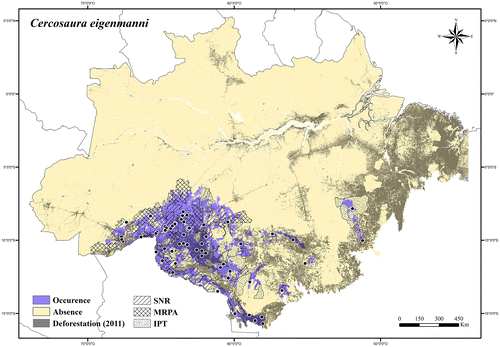 Figure 31. Occurrence area and records of Cercosaura eigenmanni in the Brazilian Amazonia, showing the overlap with protected and deforested areas.