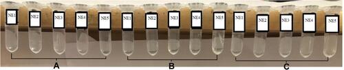 Figure 2 Physical appearance of (A) Blank, (B) DIF loaded and (C) solubility enhanced DIF (DIF-IC)-loaded nanoemulsion formulations.
