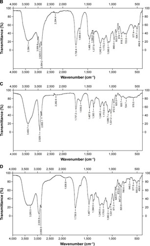 Figure 4 Infrared radiation of 25-OCH3-PPD (A), phospholipid (B), physical mixture (C), and complex (D).