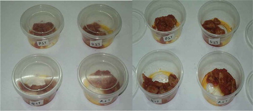 Figure 2. Textured soy protein “Stew-sauce” served into plastic bowls.