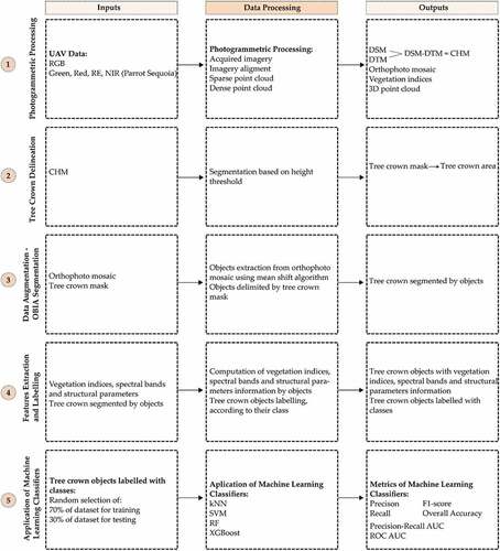 Figure 3. Data processing workflow: (1) Photogrammetric processing; (2) Tree crown delineation; (3) Data Augmentation – OBIA segmentation; (4) Features extraction and labelling; (5) Application of machine learning classifiers.