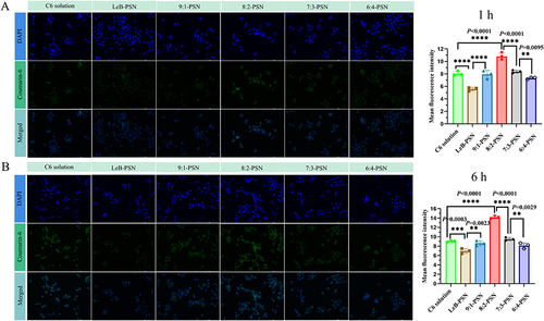 Figure 6 The cell uptake in KYSE150 cells. The fluorescence intensity images were obtained using a fluorescence microscope and the fluorescent intensity values were calculated using the Image software at 1hours (A) and 6 hours (B) after treatment with various nanoparticles on KYSE150 cells. Statistical analysis was performed using two-tailed Student’s t-test, where **P < 0.01, ***P < 0.001, and ****P < 0.0001.