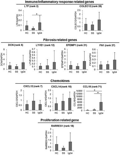 Figure 5. Validation of differentially expressed genes in DNA microarray by quantitative PCR [Citation37]. Quantitative PCR analysis using labial salivary glands (LSGs) of nine patients with IgG4-related disease (IgG4), 10 patients with Sjögren’s syndrome (SS) and four healthy controls (HC). These patients were different from those analyzed by DNA microarray. Data are mean ± SD. *p < .05, by the Kruskal–Wallis test. LTF: lactotransferrin; COLEC12: collectin sub-family member 12; DCN: decorin; LYVE1: lymphatic vessel endothelial hyaluronan receptor 1; EFEMP1: EGF-containing fibulin-like extracellular matrix protein 1; FN1: fibronectin 1; CXCL12: chemokine (C-X-C motif) ligand 12; CXCL14: chemokine (C-X-C motif) ligand 14; CCL18: chemokine (C–C motif) ligand 18; RARRES1: retinoic acid receptor responder 1.