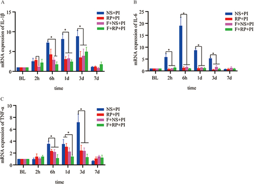 Figure 5 Changes of proinflammatory factors in the spinal dorsal horn of rats with plantar incision. (A–C) The expressions of IL-1β, IL-6 and TNF-α in the spinal dorsal horn. The results are presented as the mean ± SD (n = 4). Two-way ANOVA and Bonferroni’s test were used to analyze the inter-group differences (comparison between two groups,*P<0.05).