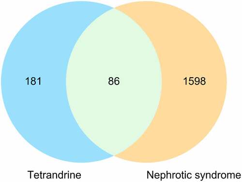 Figure 1. Venn diagram of targets for tetrandrine treating MGN