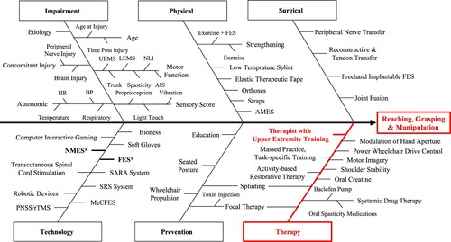 Figure 1 Driver diagram for the RG&M Domain. The Impairment Branch is common to all 11 SCI-High Domains. The red items shown in the diagram represent the aim of the indicators. *Thicker black lines on the Technology branch reflect the greater volume of evidence supporting NMES and FES. UEMS: Upper-Extremity Motor Score, LEMS: Lower-Extremity Motor Score, NLI: Neurological Level of Injury, AIS: ASIA Impairment Scale, HR: Heart Rate, BP: Blood Pressure; FES: Functional Electrical Stimulation, AMES: Assisted Movement with Enhanced Sensation, Bioness Inc., NMES: Neuromuscular Electrical Stimulation, SARA System: Smart Assistive Reacher Arm (SARA) System, SRS System: Stimulus Router System, MeCFES: Myoelectrical Controlled Functional Electrical Stimulation, and PNSS/rTMS: Peripheral Nerve Somatosensory Stimulation System/repetitive Transcranial Magnetic Stimulation.