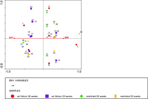 Figure 7. RDA analysis depicting the BLL fragments (Environmental variables B11 and B68) stained by IgM that significantly explained the rumen score with diet and age as covariables. Circles: ad libitum fed, 26 weeks of age (calves 1–11), squares: ad libitum fed, 20 weeks of age (calves 12–23), diamonds: restricted fed, 26 weeks of age (calves 24–28 + 37), and bars: restricted fed, 20 weeks of age (calves 29–36 + 38). Numbers represent individual calves. Fragments B68 and B11 in opposite directions explained 12% of the variation in the rumen score.