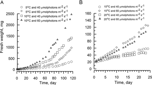 Figs 3. Effects of different temperature and irradiance on the fresh weight of Ulva lactuca discs in the laboratory throughout the experimental period with a 12 : 12 h light–dark regime.