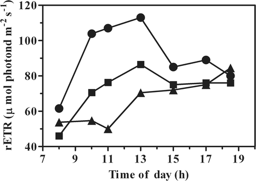 Fig. 2. Changes in the maximum relative electrons transport rate (rETR) in P. tricornutum grown outdoors at different biomass concentrations (•, pond 0.3 g l−1; ▪, PBR 0.6 g l−1; ▴, PBR 0.3 g l−1). Samples were taken from the outdoor cultures at the time of day indicated.