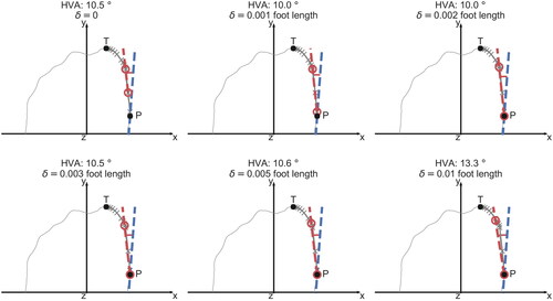 Figure 3. Hallux valgus angle values for a given foot as measured by using a line segment error tolerance from 0 to 1% foot length. The red circles are the line segment endpoints on the convex hull. The red line connecting the circles is the hallux medial line. The blue line is the baseline.