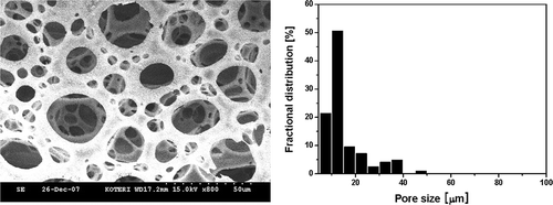 Figure 1. SEM image and pore size distribution of PTFE/glass composite filter.
