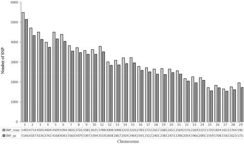 Figure 1. Number of SNPs on autosomes before and after quality control.