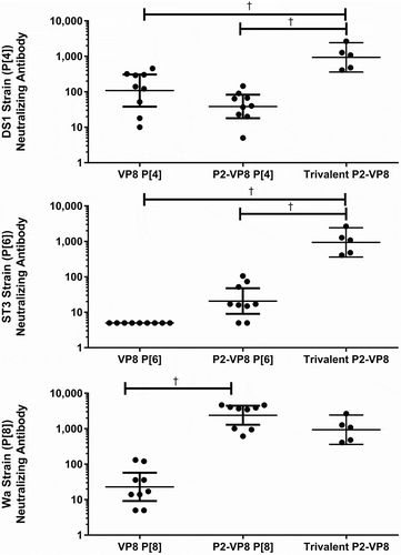 Figure 7. Serum neutralizing antibody responses (y-axis) after intramuscular injections with P2-fused and non-fused monovalent antigens with Alhydrogel adjuvant (x-axis). Animals were immunized on days 0, 14, and 28, and blood samples were analyzed on day 42 (two weeks after final immunization). Neutralizing antibody results against DS-1 (P[4]), ST3 (P[6]), and Wa (P[8]) rotavirus strains. Geometric mean titers with 95% confidence intervals are shown.