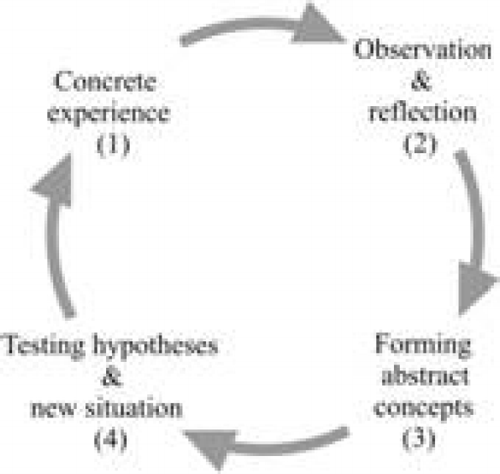 Figure 1. A model of Kolb's learning circle.