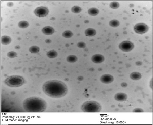 Figure 4 Transmission electron micrograph for the optimized carvedilol nanosuspension.