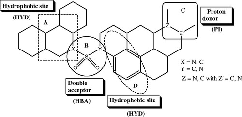 Figure 3. 5-HT6 receptor pharmacophore model.