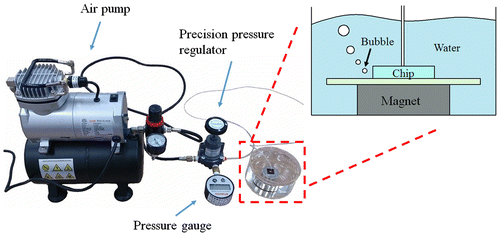 Figure 8. Schematic illustration of bonding experiment setup.