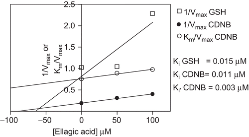 Figure 5.  Determination of Ki for GSH and CDNB for cDNA expressed PfGST in the presence of ellagic acid. Replots of slope (Km/Vmax) and 1/Vmax versus were used to determine Ki GSH and Ki(□) CDNB values for ellagic acid which showed mixed type of inhibition for both substrates.