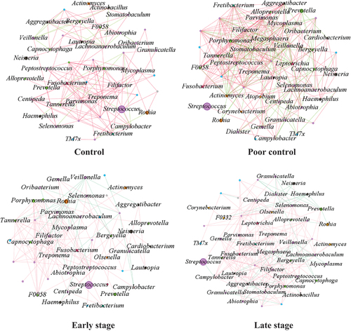 Figure 4. Microbial networks at the genus level for HbA1c (control and poor control) and T2DM duration (early stage and late stage). The size of the dots represents the abundance of the species, and the connecting line represents the correlation of the species, with a positive correlation in red and a negative correlation in green.