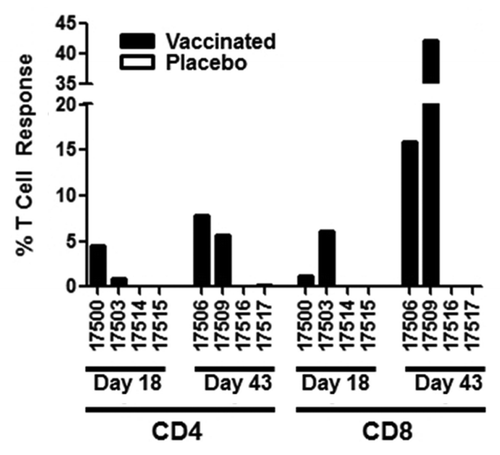 Figure 6. Lung T cell responses following aerosol immunization. Animals were immunized with aerosol AERAS-402 (black bars) or placebo (white bars) on study days 1, 8, and 15. Two animals each from vaccinated and placebo control animals were pre-selected for BAL collection at the time of necropsy at each necropsy time point (days 18 and 43). Cells were isolated from BAL and CD4+ and CD8+ responses (production of IFN-γ, IL-2, or TNF alone or in combination) evaluated by intracellular cytokine staining following stimulation with Ag85A/b. Bars represent the background-subtracted Ag85A/b response for each animal. Numbers are unique animal identifiers.