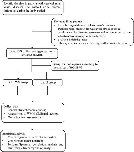 Figure 1 Flowchart of study process.