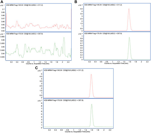Figure 2 Extracted ion chromatograms for (A) blank children’s plasma, (B) blank children’s plasma spiked with MTX and IS (MTX-d3), (C) Children’s plasma sample 24 h after intravenous infusion of high-dose MTX (HD-MTX 2 g/m2).