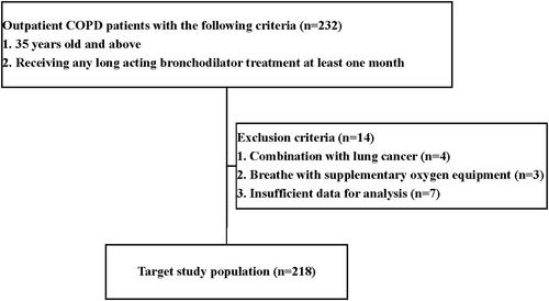 Figure 1 Flow chart of chronic obstructive pulmonary disease population.