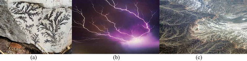 Figure 1. Examples of non-biological dendritic patterns in nature; (a) mineral deposits on a rock in the author’s garden in Arizona, (b) lightning over the River Forth in Scotland [Citation24], (c) desert drainage channels in northern Egypt [Citation25]