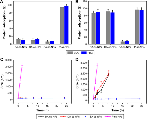 Figure S5 BSA and FBG adsorption of DA-ss-NPs, DA-cc-NPs, SA-ss-NPs and P-ss-NPs at pH 7.4 (A) or pH 6.5 (B), mean±SD, n=3. Changes in particle size of DA-ss-NPs, DA-cc-NPs, SA-ss-NPs and P-ss-NPs following incubation with RPMI 1640 culture medium with 10 FBS at pH 7.4 (C) or pH 6.5 (D); the diameters of all micelles at time 0 were determined in PBS, mean±SD, n=3.Abbreviations: FBG, fibrinogen; RPMI, Roswell Park Memorial Institute.