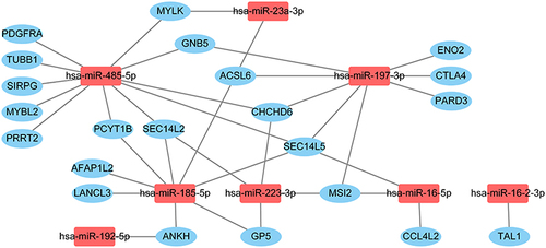 Figure 3 The node graph of the interactions between 8 miRNAs and 22 mRNAs identified from miRWalk.