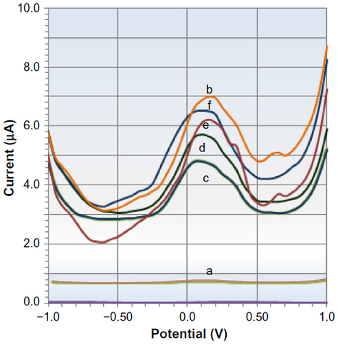 Figure 5 DPV for 10 mM Tris–HCl buffer solution of pH 6.5 at (a) GQD-modified electrode, (b) buffer solution containing 5 mM [Fe(CN)6]−3/−4, (c) after ssDNA probe immobilization, and (d–f) after hybridization with complementary DNA of concentrations of 10−12 M, 10−10 M, and 10−8 M.