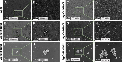 Figure 3 SEM images of the 2 mL Ag-C (A–L) with 200 μL different concentrations of NaCl.Abbreviations: SEM, scanning electron microscopy; Ag-C, carbon membrane packaged Ag nanoparticles.