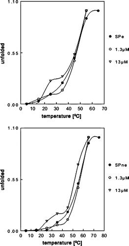 Figure 5.  Erythroid and nonerythroid spectrin exibit a two-state transition thermal unfolding with possible folding intermediates in the presence of mitoxantrone. The thermal unfolding profile of erythroid (200 nM) and nonerythroid (200 nM) spectrin in complexes with mitoxantrone at two concentrations 1.3 µM and 13 µM is shown.