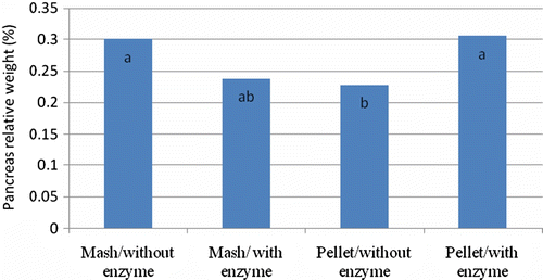 Figure 2.  The interaction between feed processing (mash vs. pelleted) and enzyme supplementation (with or without 0.30 g Grindazym GP 15,000/kg of wheat in complete diet) on pancreas RW (%) at 36 days of age.