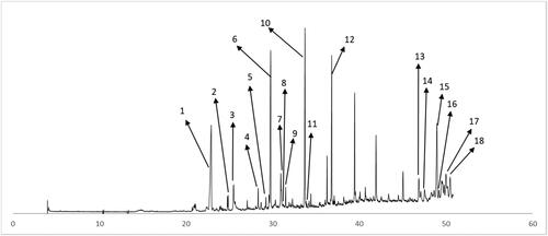 Figure 1. GC-MS chromatogram of n-hexane extract (F6) from A. cadamba (derivatization method). Peak 1. cycloeicosane (22.9 min), 2. E-15-heptadecenal (24.8 min), 3. myristic acid (25.4 min), 4. 1-eicosanol (28.3 min), 5. 1-tricosene (29.5 min), 6. palmitic acid (29.7 min), 7. octadecanoic acid (30.9 min), 8. nonadecanol (31.0 min), 9. 1-heneicosanol (31.5 min), 10. cyclotetracosane (33.7 min), 11. tetracosanol (34.4 min), 12. cyclooctacosane (36.8 min), 13. campasterol (46.8 min), 14. stigmasterol (47.5 min) 15. β-sitosterol (48.9 min), 16. stigmastanol (49.1 min), 17. lupeol (50.0 min), 18. lupeol acetate (50.4 min)
