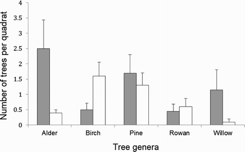 Figure 3. Abundance of different tree genera (for genera with abundance > 5 trees) within (grey bars) and outside (white bars) Willow Warbler territories. The mean and se are presented.