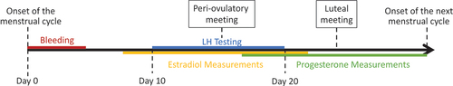 Figure 1. Diagram of timing of the steroid testing, meetings, and LH testing across a menstrual cycle. Peri-ovulatory meeting took place after obtaining a positive LH test result or at the last day of the LH testing if no positive result appeared. Luteal meeting took place 7 days after the peri-ovulatory meeting.