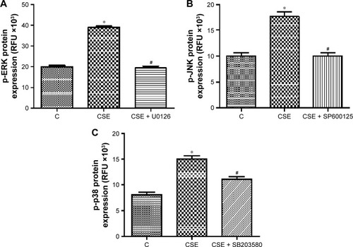 Figure 1 Phosphorylated ERK1/2 (A), JNK (B), and p38 (C) in CSE-treated bronchial epithelial cells.