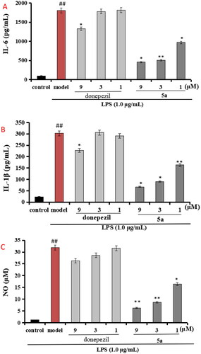 Figure 5. (A) Effects of compounds 5a and donepezil on the production of IL-6; (B) effects of compound 5a and donepezil on the production of IL-1β; (C) effects of compound 5a and donepezil on NO release. The results were expressed as the mean ± SD. *p < 0.05, **p < 0.01 vs. model group; ##p < 0.01 vs. control.