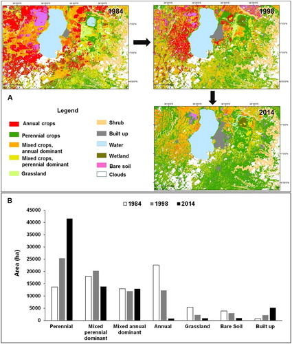 Figure 5. Quantitative analysis of land cover/land use changes using Landsat satellite images for 1984, 1998, and 2014.