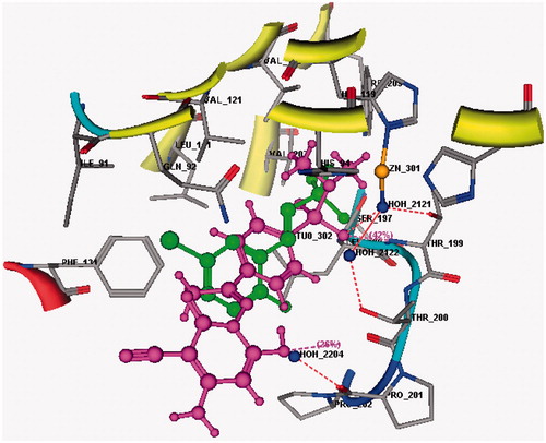 Figure 4. 3D Docking of sulfonamide derivative 11 (magenta) (S = −11.99 Kcal mol−1) compared to the co-crystallized ligand (green) in the active site of CA IX (hydrogen bonds are represented by red dashed lines).