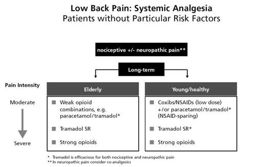 Figure 3 Recommendations of the working group on pain management for patients with low back pain.