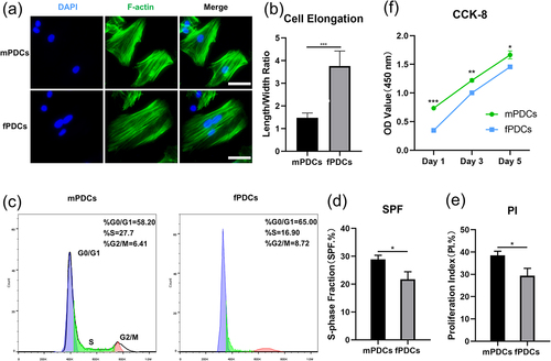 Figure 2. Periosteum derived cells from different sources had various morphological and growth characteristics. (a) Respectively, mPDCs and fPDCs (5 × 106) from Sprague-Dawley rats were seeded in 12-well plates and were harvested for cytoskeleton staining the next day. Blue: nuclear; green: cytoskeleton (F-actin); scale bar = 50 μm. (b) Five single cells were selected at random from each of the two groups, mPDCs, and fPDCs. The length/width ratio was calculated as cell elongation for quantitative analysis. (c) After stable cell subculture, the cell cycle of mPDCs and fPDCs was tested with flow cytometry. (d, e) The proportion of S phase and proliferation index of PDCs from mandible and femur was reflected by cell cycle analysis. (f) CCK-8 was performed on days 1, 3, and 5 for long-term cell proliferation assessment. All vitro tests were repeated three times with similar outcomes. *p < 0.05; **p < 0.01; ***p < 0.001.