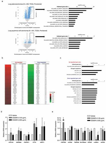 Figure 5. Enriched gene profiles in tumors with high CD200R1 expression and differentially-expressed genes in response to CD200Fc administration as assessed by cDNA microarray