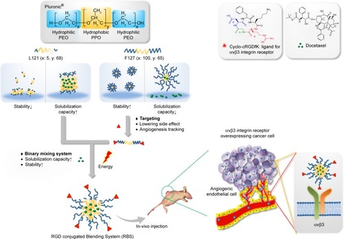 Figure 1 Schematic conceptual representation of the cRGD-conjugated L121/F127 blending micellar system.Abbreviations: cRGD, cyclic arginine-glycine-aspartic acid; PEO, poly(ethylene oxide); PPO, poly (propylene oxide).