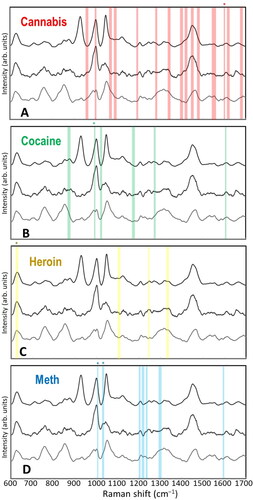 Figure 3. Raman bands analyzed in Raman-saliva studies for common illicit drugs. A. Cannabis, B. Cocaine, C. Heroin, D. Methamphetamine. Most prominent bands marked with *. Background is three saliva spectra for assessment of potential overlap with innate saliva Raman bands (Based on Ref. (Citation91)).