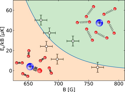 Figure 6. The phase-diagram of a single ion in an ultracold bath of weakly bound molecules. The magnetic field establishes the binding energy of the molecules in the bath through a Feshbach resonance, whereas the collision energy is determined by the translational temperature of the ion in the trap. For higher ion temperatures, the ion survives in the bath, whereas at lower ion temperatures, the ion reacts with a molecule leading to the formation of a stable molecular ion. The error bars are characteristic of using a Monte Carlo approach for sampling the phase-space.