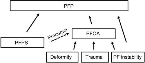 Figure 1 Schematic drawing showing the relationship of PFP, PFPS, and PFOA.